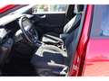Ford Puma 1.0 Titanium 360 Kamera Winter-Paket Rot - thumbnail 6