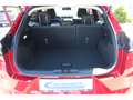 Ford Puma 1.0 Titanium 360 Kamera Winter-Paket Rot - thumbnail 18