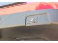Ford Puma 1.0 Titanium 360 Kamera Winter-Paket Rot - thumbnail 17