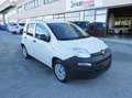 Fiat Panda 1.2 Van 69 Cv 2 Posti- Bluetooth, Clima, Radio ecc Bianco - thumbnail 1