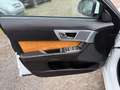 Jaguar XF Diesel Rückfahrkamera Sitzheizung Weiß - thumbnail 10