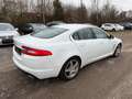 Jaguar XF Diesel Rückfahrkamera Sitzheizung Weiß - thumbnail 7
