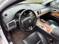 Jaguar XF Diesel Rückfahrkamera Sitzheizung Weiß - thumbnail 11