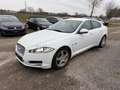 Jaguar XF Diesel Rückfahrkamera Sitzheizung Weiß - thumbnail 2