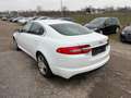 Jaguar XF Diesel Rückfahrkamera Sitzheizung Weiß - thumbnail 4