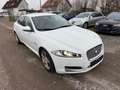 Jaguar XF Diesel Rückfahrkamera Sitzheizung Weiß - thumbnail 8