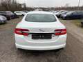 Jaguar XF Diesel Rückfahrkamera Sitzheizung Weiß - thumbnail 5
