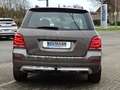 Mercedes-Benz GLK 220 GLK 220 CDI BlueEfficiency 4Matic (204.984) Grau - thumbnail 4