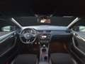 Skoda Octavia Combi RS 2,0 TDI alle Service & Pickerl bei Skoda Schwarz - thumbnail 12