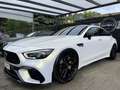 Mercedes-Benz AMG GT 63 S 4Matic+ *AERO-DYN*DESIGNO*JS 10.2024 Bílá - thumbnail 1