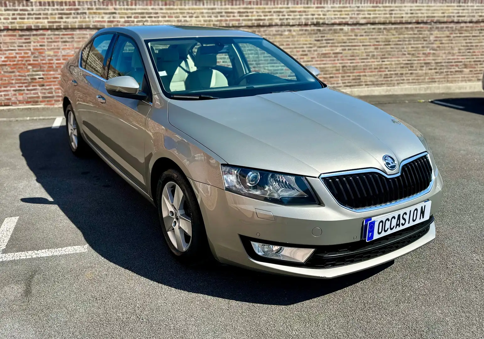 Skoda Octavia Octavia 1.6 TDI 105 ch CR FAP Green Tec Ambition Gris - 2