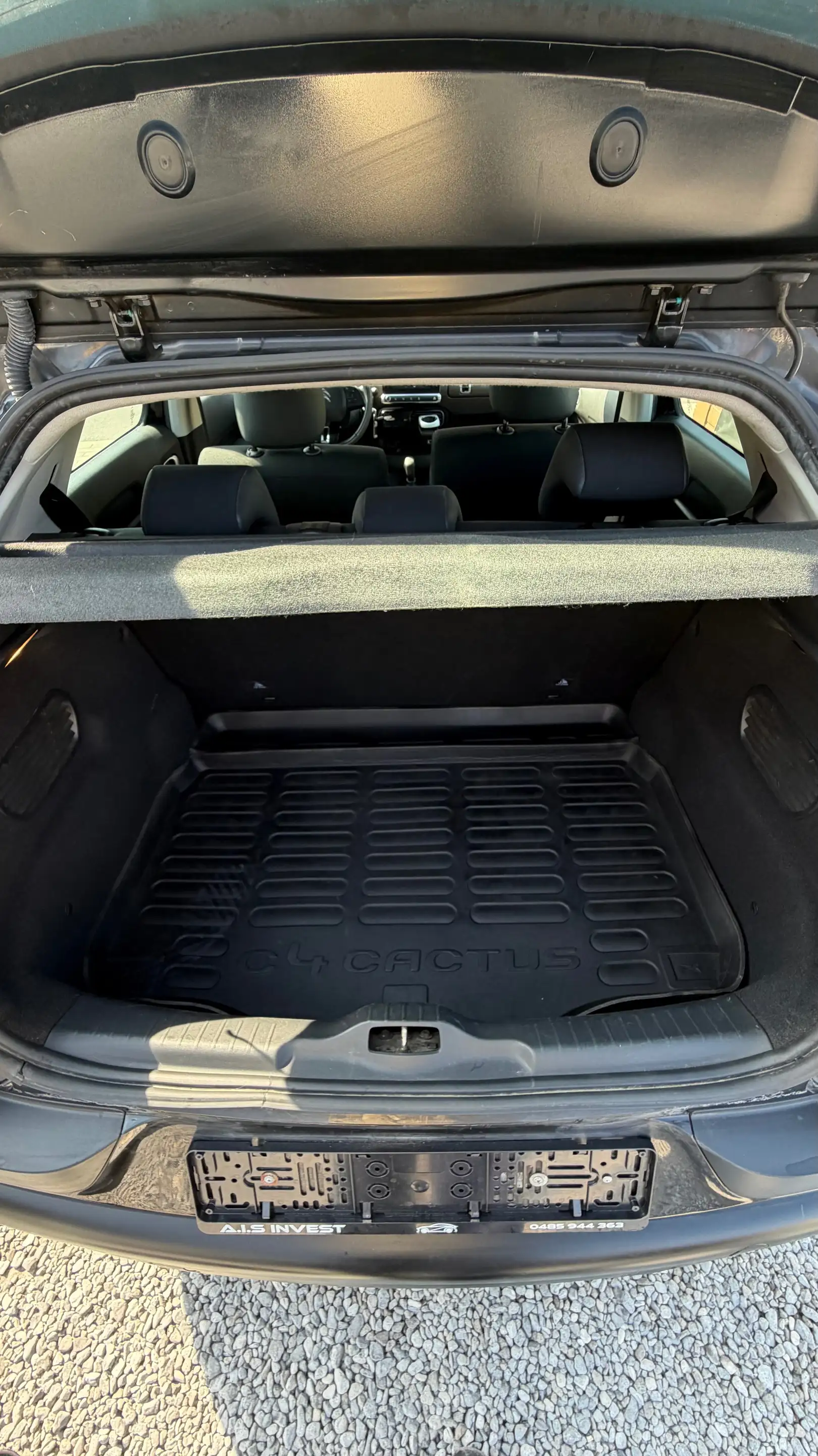 Citroen C4 Cactus C4 Cactus 1.6 BlueHDi Rip Curl — photo 12