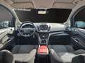 Ford C-Max 1,0 EcoBoost 92kW Business Edition+Navi Gris - thumbnail 9