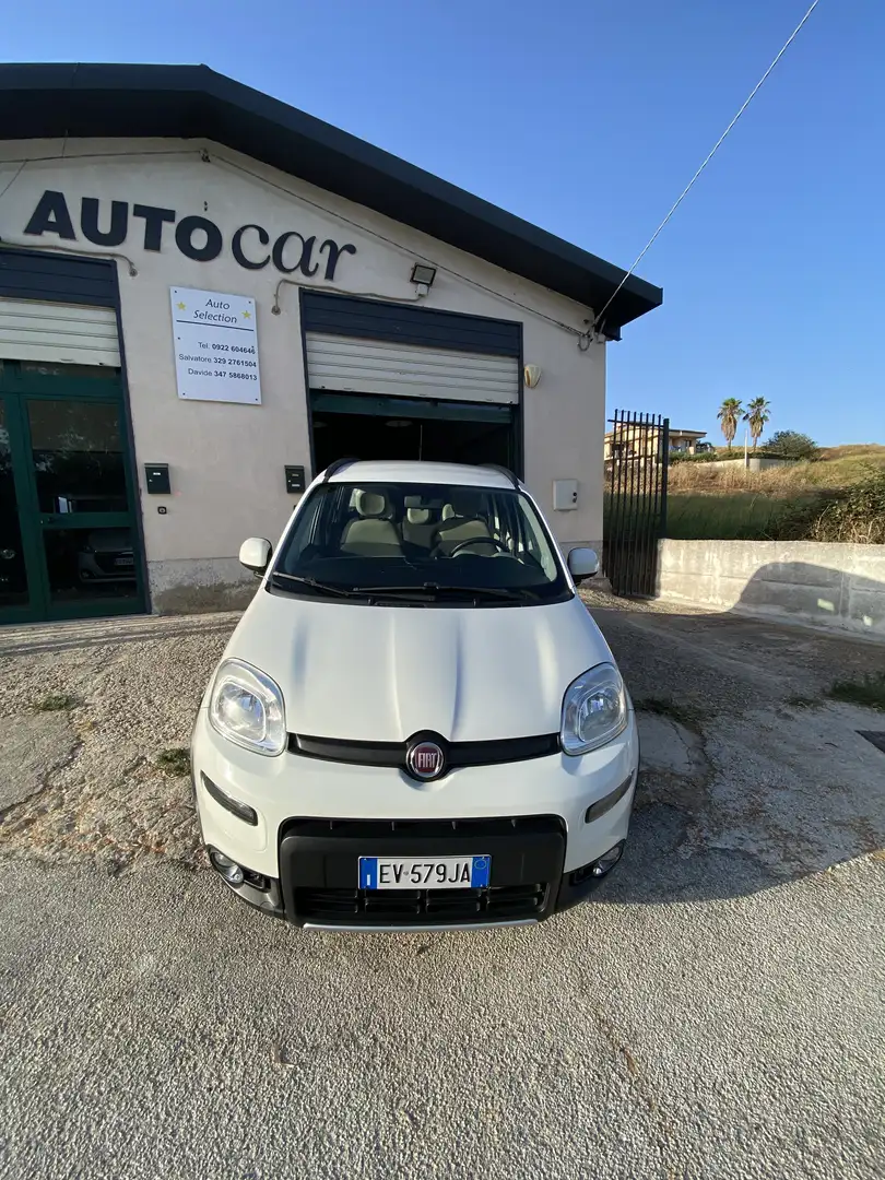 Fiat New Panda PANDA 4x4 antartica - 1