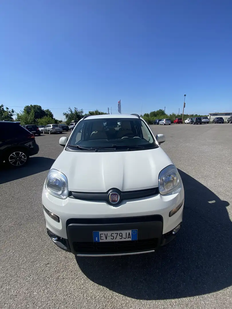 Fiat New Panda PANDA 4x4 antartica - 1