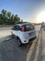Fiat New Panda PANDA 4x4 antartica - thumbnail 7