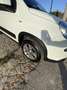 Fiat New Panda PANDA 4x4 antartica - thumbnail 6