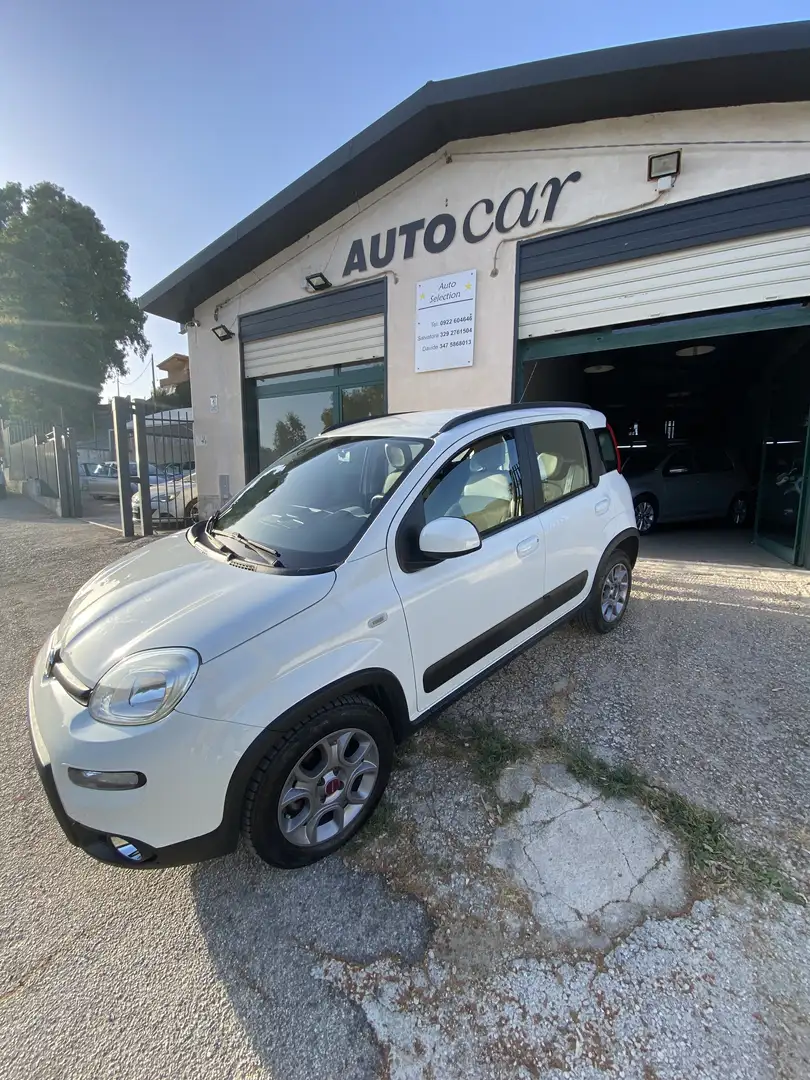 Fiat New Panda PANDA 4x4 antartica - 2