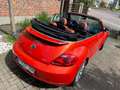 Volkswagen New Beetle rood/oranje kleur, cabrio, navigatiesystem, cruise Red - thumbnail 3