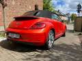 Volkswagen New Beetle rood/oranje kleur, cabrio, navigatiesystem, cruise Rouge - thumbnail 5
