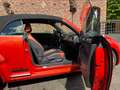 Volkswagen New Beetle rood/oranje kleur, cabrio, navigatiesystem, cruise Piros - thumbnail 8