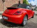 Volkswagen New Beetle rood/oranje kleur, cabrio, navigatiesystem, cruise Red - thumbnail 7