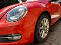 Volkswagen New Beetle rood/oranje kleur, cabrio, navigatiesystem, cruise Rot - thumbnail 21