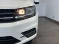 Volkswagen Caddy 2.0 TDI Trendline AHK PARKASSIST Weiß - thumbnail 4