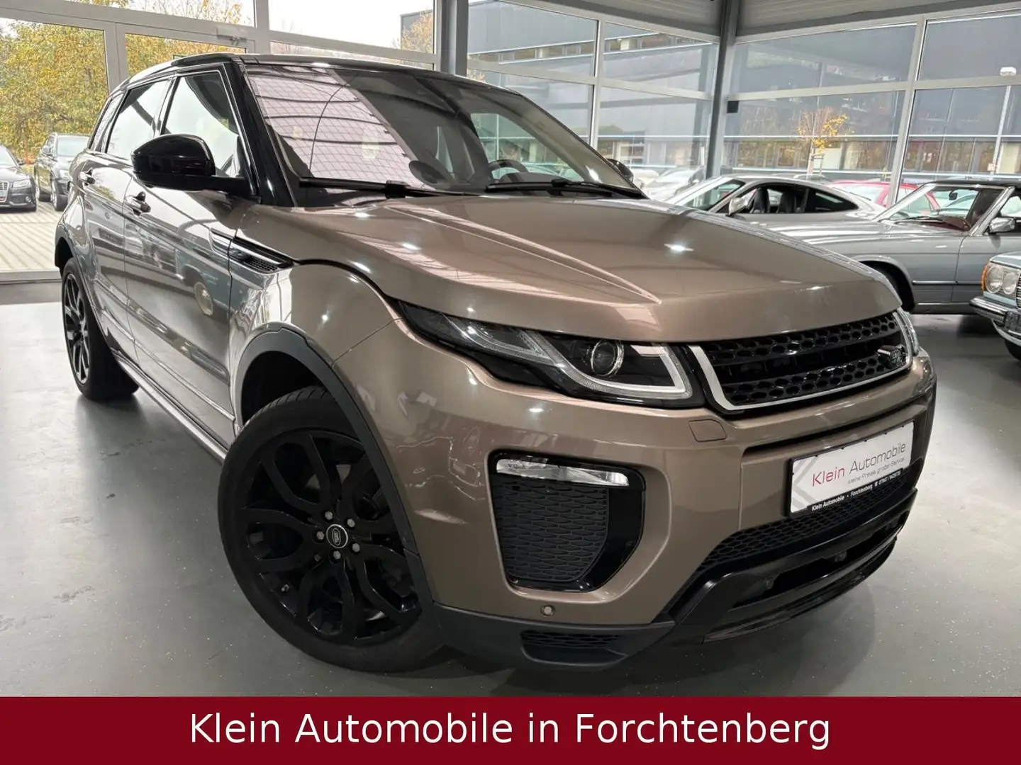 Land Rover Range Rover Evoque SE Dynamic Glasdach SthZ 360° Braun - 1