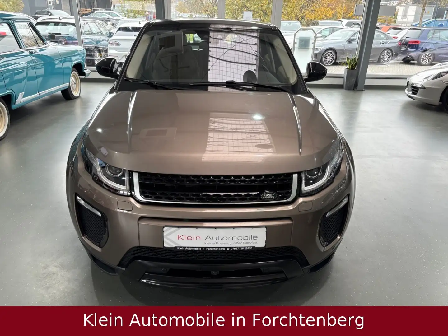 Land Rover Range Rover Evoque SE Dynamic Glasdach SthZ 360° Braun - 2