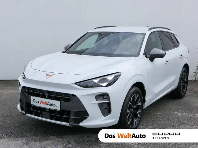 Cupra Terramar main image