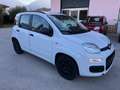 Fiat Panda Panda 1.2 Pop 69cv E6 Blanc - thumbnail 9