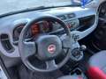Fiat Panda Panda 1.2 Pop 69cv E6 Blanc - thumbnail 14