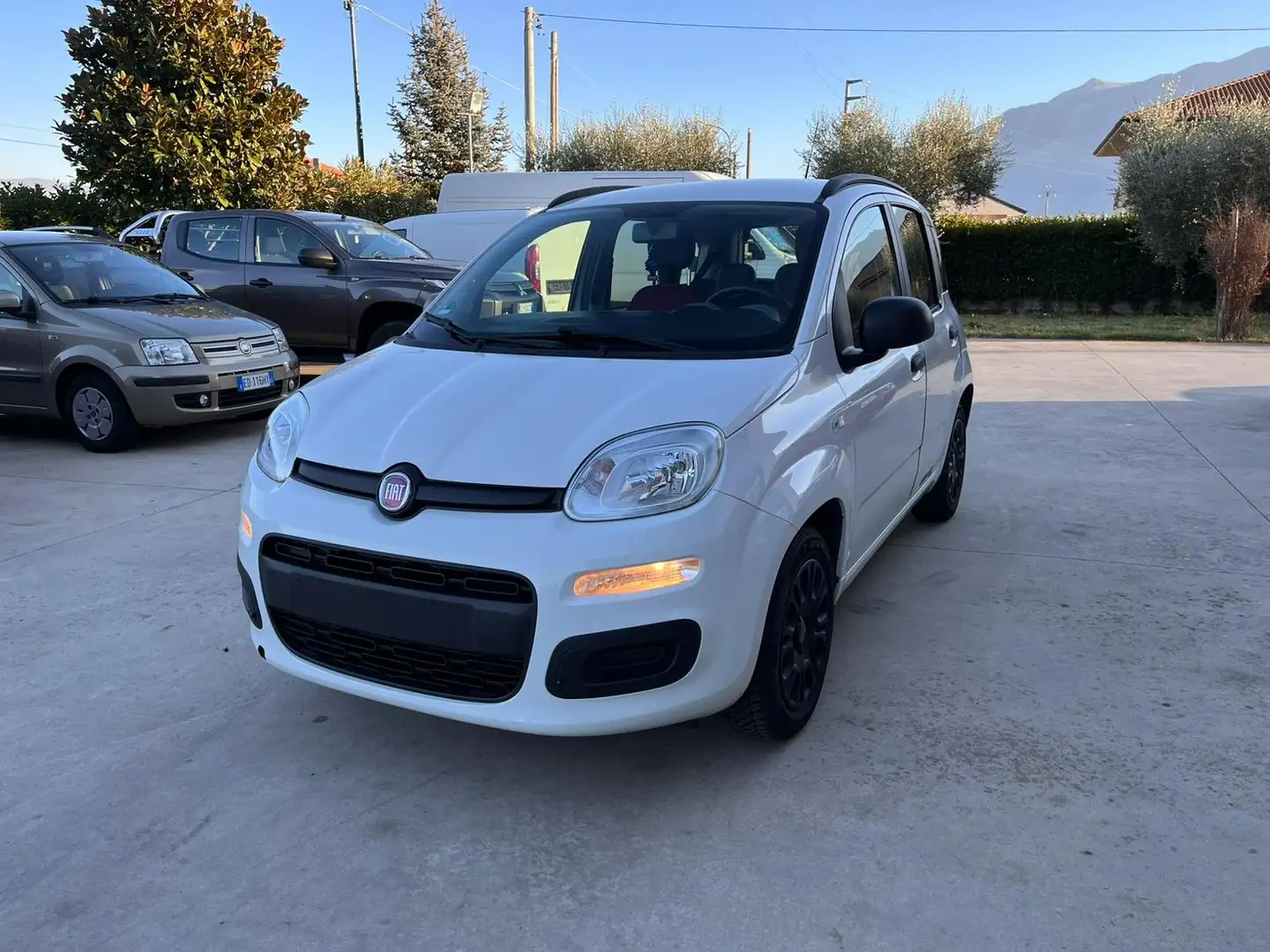Fiat Panda Panda 1.2 Pop 69cv E6 Blanc - 2