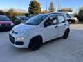Fiat Panda Panda 1.2 Pop 69cv E6 Blanc - thumbnail 3