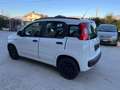 Fiat Panda Panda 1.2 Pop 69cv E6 Blanc - thumbnail 5