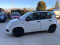 Fiat Panda Panda 1.2 Pop 69cv E6 Blanc - thumbnail 4