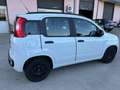 Fiat Panda Panda 1.2 Pop 69cv E6 Blanc - thumbnail 8