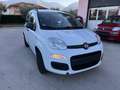 Fiat Panda Panda 1.2 Pop 69cv E6 Blanc - thumbnail 10