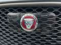 Jaguar F-Pace F-PACE R-Sport AWD *SPUR*LED*NAVI*RF.KAMERA*AMBI Grau - thumbnail 19