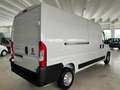Fiat Ducato 35 LH2 2.2 mjt3 140cv serie 9 Weiß - thumbnail 3