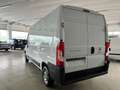 Fiat Ducato 35 LH2 2.2 mjt3 140cv serie 9 Weiß - thumbnail 4