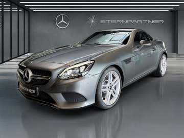 Cabrio,Sport-Paket,Leder,PanoVario,AirSc