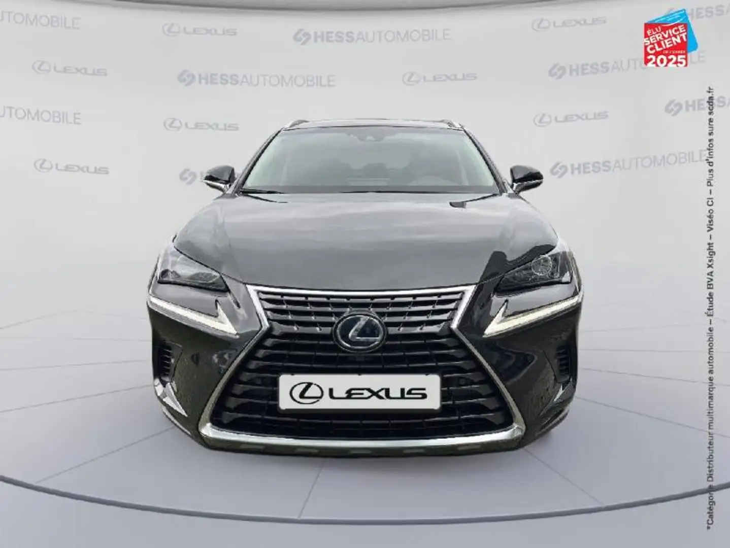 Lexus NX 300h 300h 4WD Luxe  MY20 Sieges chauf/cuir GPS Camera C Noir - 2