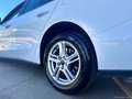Ford Focus 1.5 EcoBlue 120CV SW Business Wit - thumbnail 10
