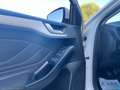 Ford Focus 1.5 EcoBlue 120CV SW Business Wit - thumbnail 21