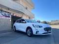 Ford Focus 1.5 EcoBlue 120CV SW Business Wit - thumbnail 3