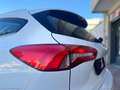 Ford Focus 1.5 EcoBlue 120CV SW Business Wit - thumbnail 9