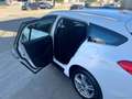 Ford Focus 1.5 EcoBlue 120CV SW Business Wit - thumbnail 26
