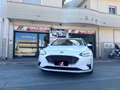 Ford Focus 1.5 EcoBlue 120CV SW Business Wit - thumbnail 2